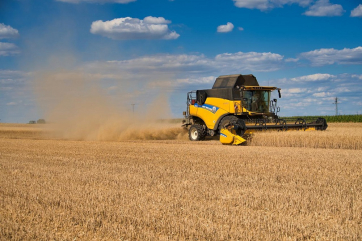 Российский зерновой союз ожидает рекордного урожая зерна в этом году